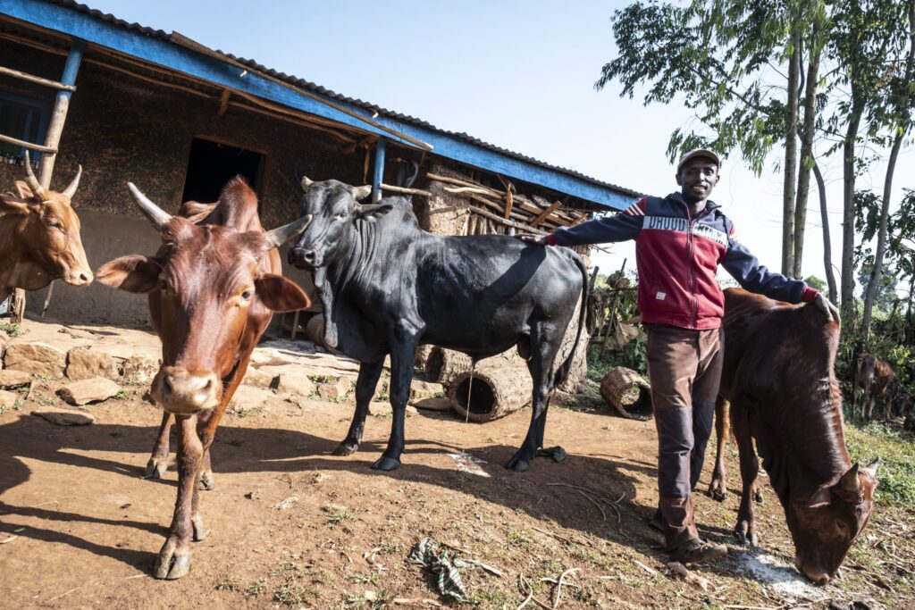 Projektgebiet Dano. 3-Generationen-Familie in Abu Dorani. Ararsa Alemu, 35 ist Modelfarmer im Dorf Abu Dorani in der Gemeinde Kamise.