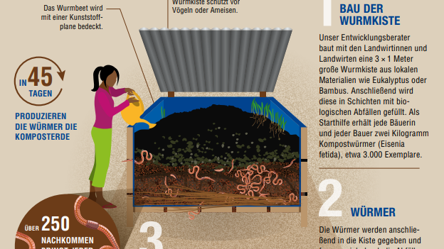 Ausschnitt aus einer Infografik über Würmer.