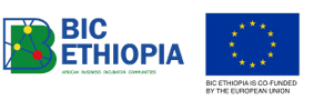 Logo BIC Ethiopia, co-finanziert von der Europäischen Union