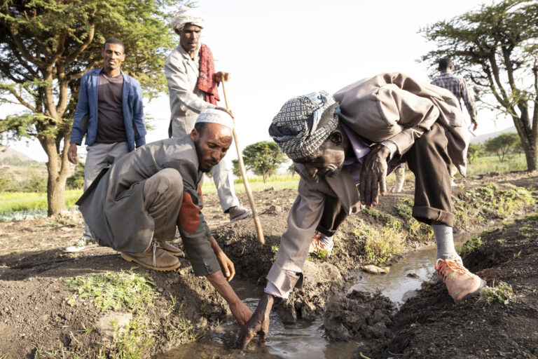 Projektgebiet Borena. Endire Asefa, 58 ist Modelfarmer in Walamagole