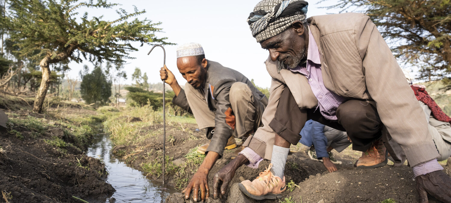 Projektgebiet Borena. Endire Asefa, 58 ist Modelfarmer in Walamagole