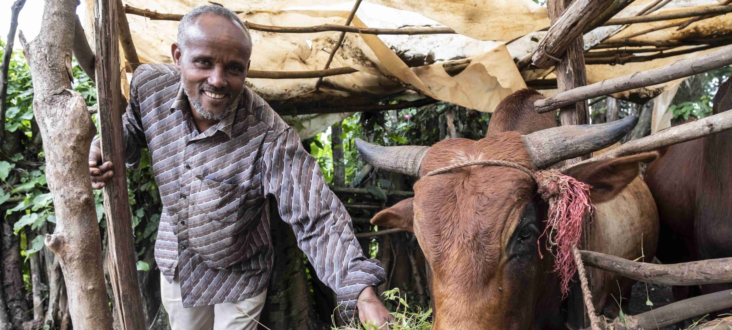 Lelisa Hindaba, 46 (Helle Hose, braun-grau gemustertes Hemd, grüne Gummistiefel) ist Modellfarmer mit 8 Hektar Land im Dorf Kersa.