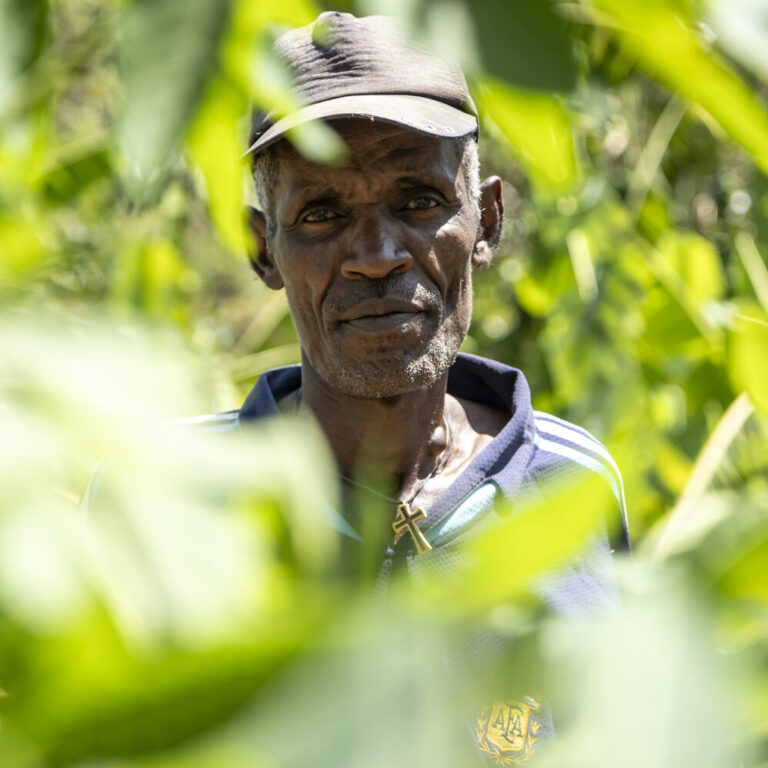 Landwirt mit Avocado und Kaffee im Projektgebiet Kawo Koysha