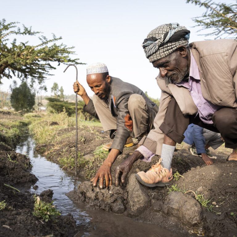 Projektgebiet Borena. Endire Asefa, 58 ist Modelfarmer in Walamagole